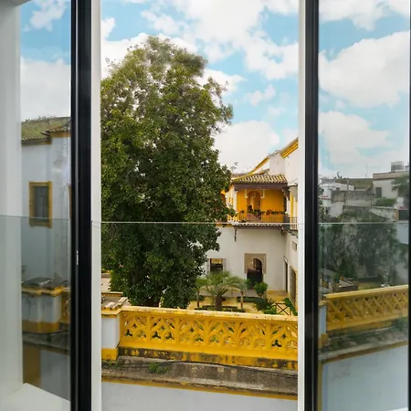 Luxurious Duplex 1bd 1bth Over Casa Pilatos Apartment